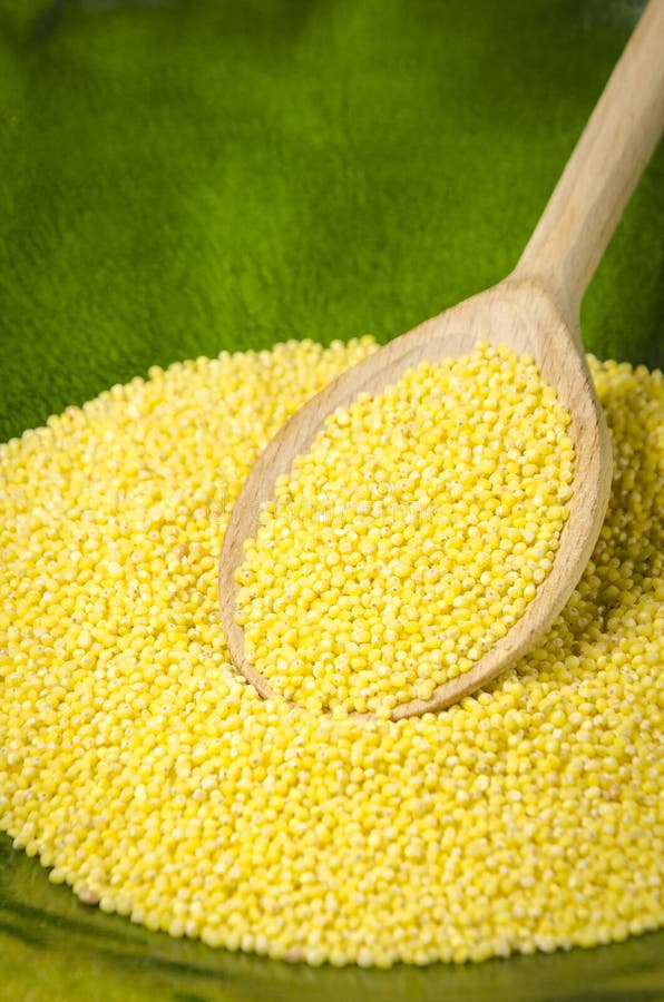Golden Millet, A Gluten Free Grain Seed, Border Over White Stock Image