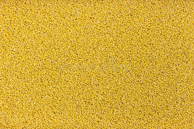 Millet groats background royalty free stock photo