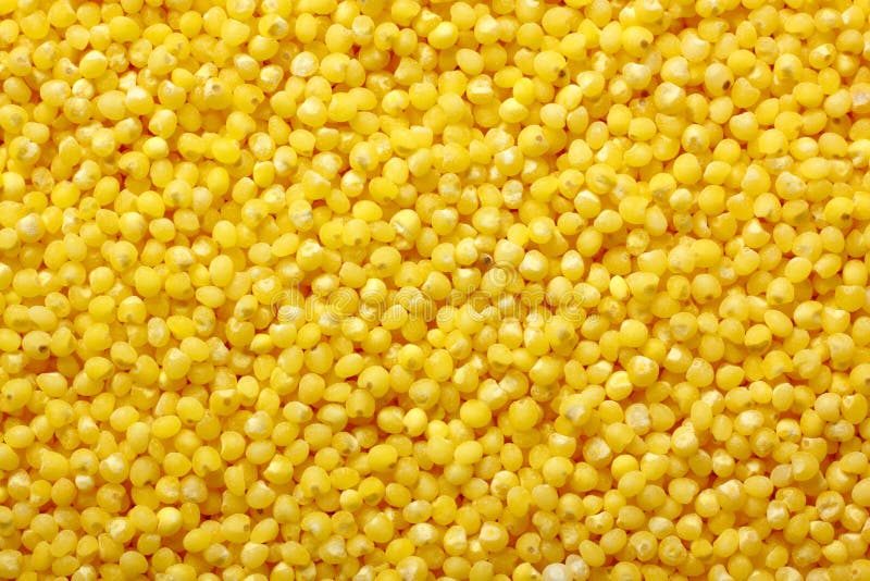 Millet groats stock images