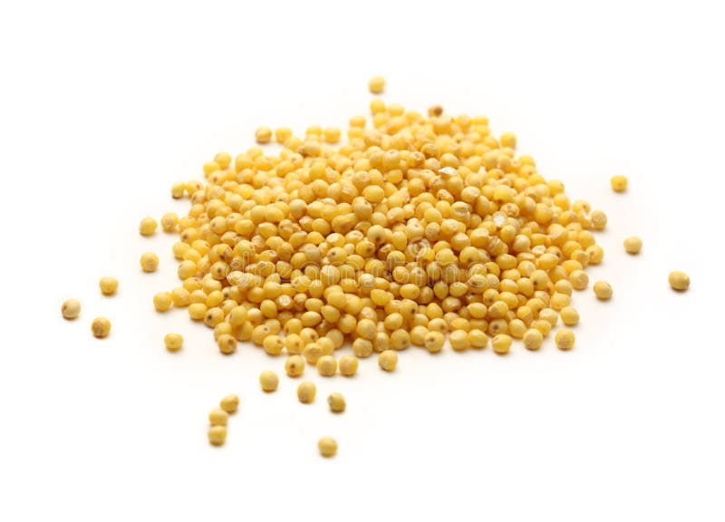Millet groats stock image