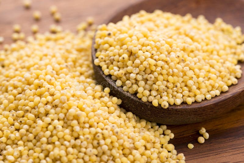 Millet groats royalty free stock photo