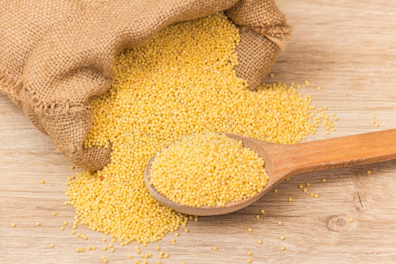 Millet groats stock images