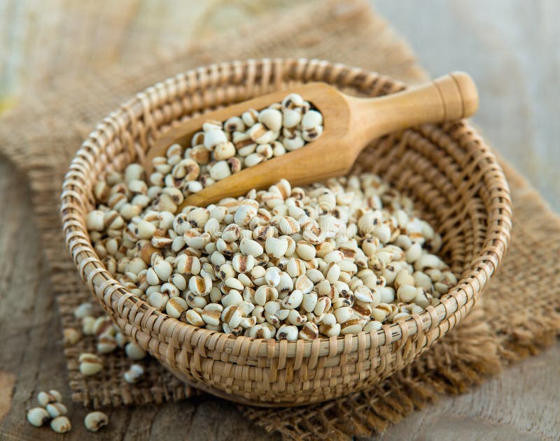 Millet the Organic Grain Food in Basket Stock Photo Image of table