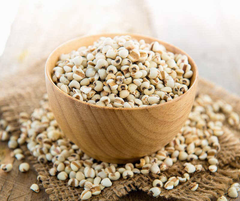 Millet the Organic Grain Food in Wood Bowl Stock Image Image of