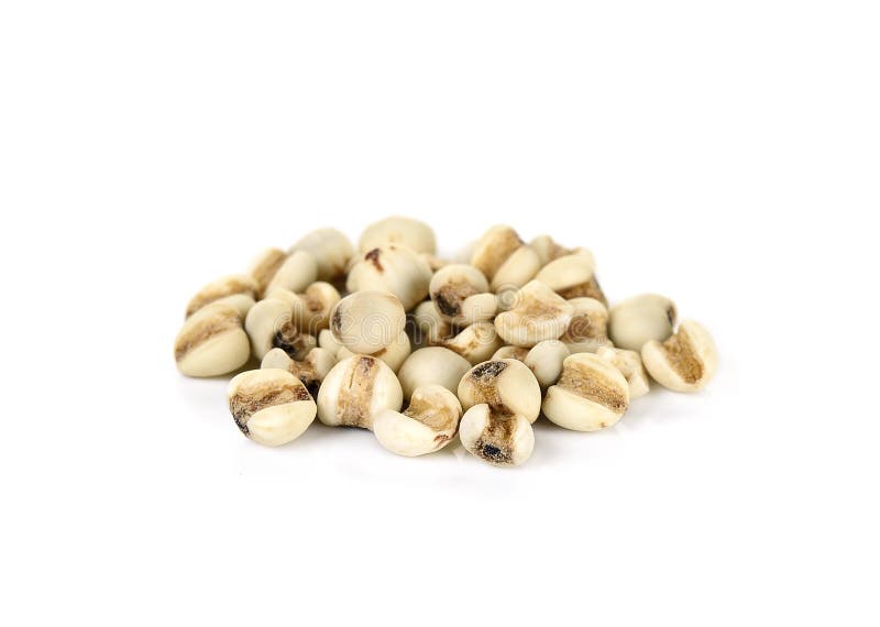 Millet Rice , Millet Grains Isolated Stock Image Image of organic