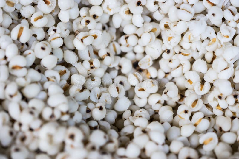 Millet rice, millet grains stock photo. Image of nutrition 64532290