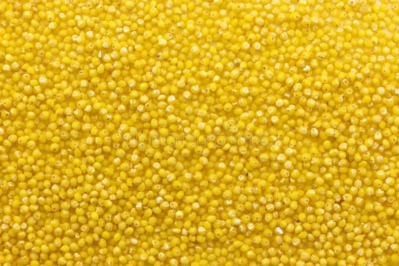 Millet texture or background. Top view royalty free stock photos