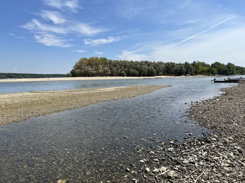 Millions of dead river shells on the banks of the Danube near Vukovar during the historic summer drought, Vukovar - Croatia royalty free stock photos Millions of dead river shells on the banks of the Danube near Vukovar during the historic summer drought, Vukovar - Croatia royalty free stock photos
