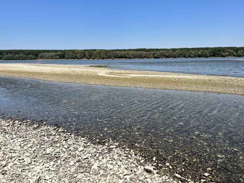 Millions of dead river shells on the banks of the Danube near Vukovar during the historic summer drought, Vukovar - Croatia stock photos Millions of dead river shells on the banks of the Danube near Vukovar during the historic summer drought, Vukovar - Croatia stock photos