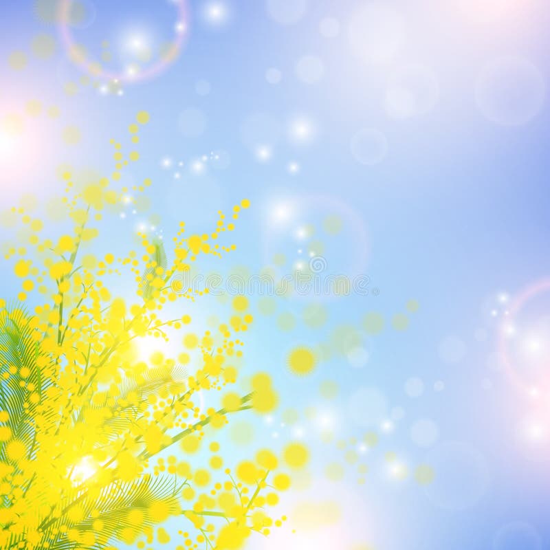 Mimosa ilustração do vetor Mimosa ilustração do vetor