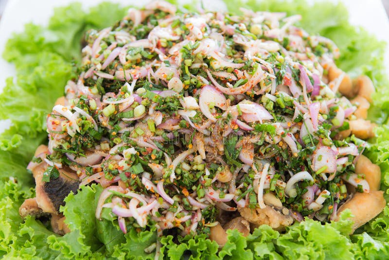 Minced Catfish Spicy Salad with Herbs Stock Image Image of slice
