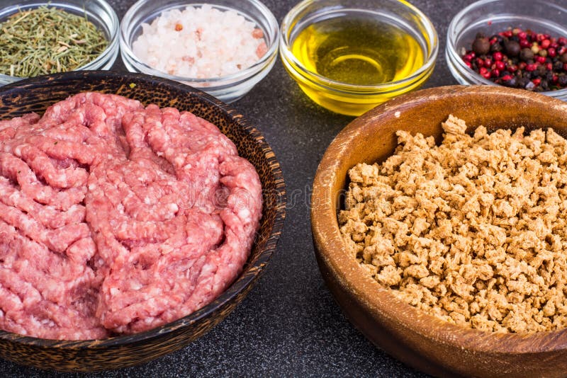 Soya Mince. Meat Substitute For Vegetarians. Stock Photo Image of