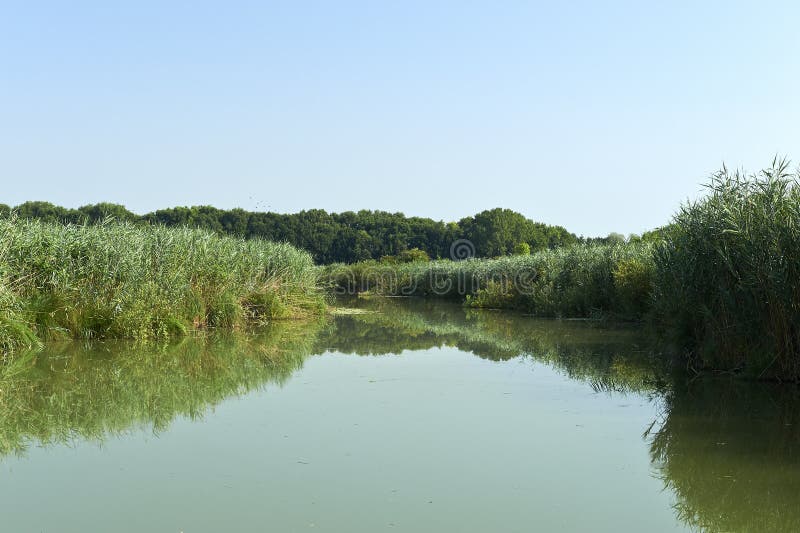 Mincio River stock photo. Image of oasis, fish, fisher - 32614158
