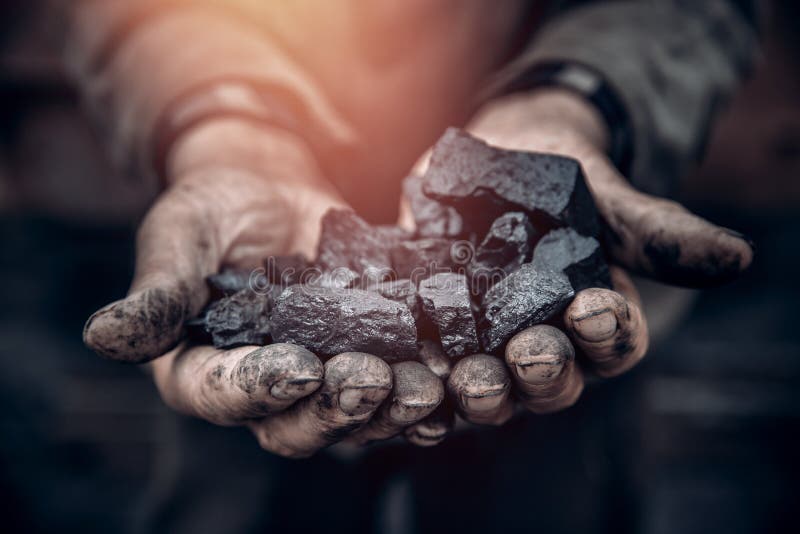 Miner holds coal, palm texture. Concept mining, black stone.