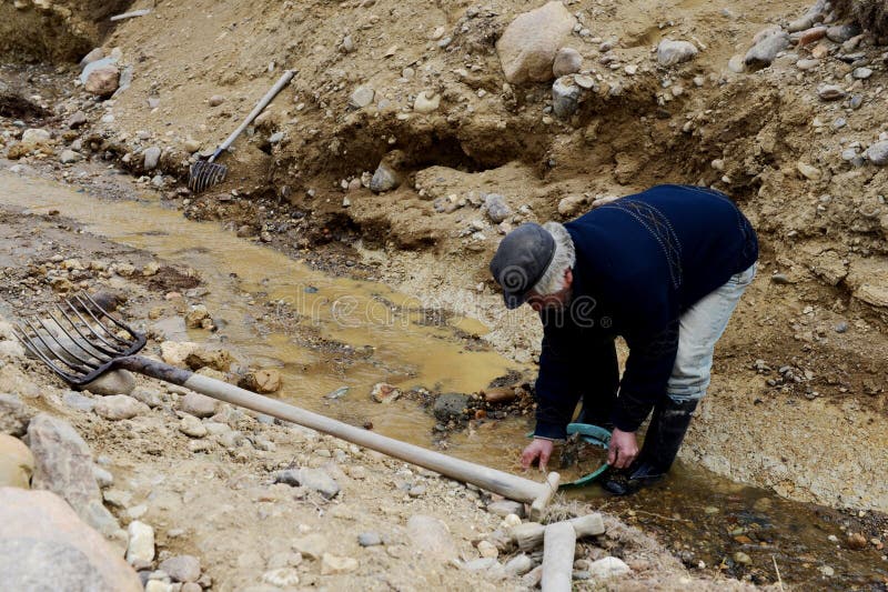 Gold Digger Shows Tourists Alluvial Gold Sand Mined In The Mine On