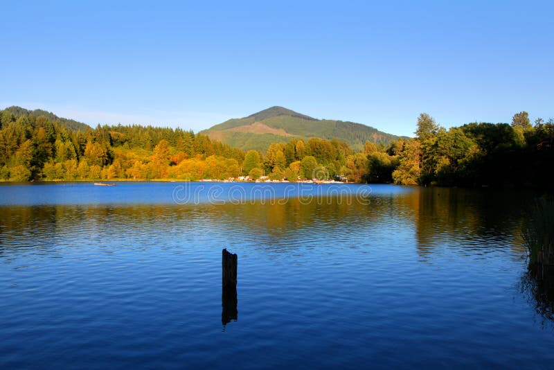 Mineral Lake, WA stock photo. Image of rainer, mountain 97256