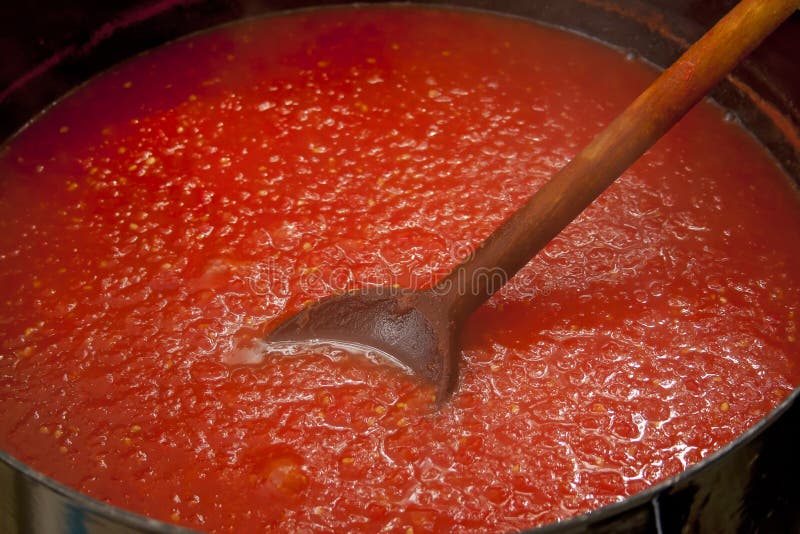 Minestra del pomodoro fotografie stock Minestra del pomodoro fotografie stock