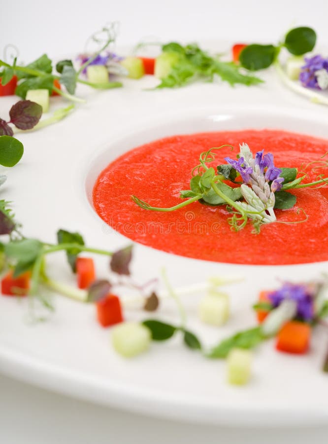 Minestra di Gazpacho immagini stock libere da diritti Minestra di Gazpacho immagini stock libere da diritti