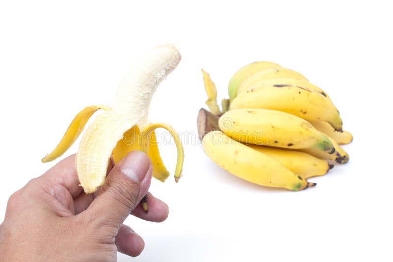 Mini banane image stock. Image du vivacit?�, groupe, banane - 20421257