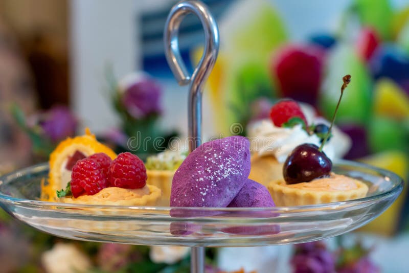 Mini Cake Bakery in Dish for Catering Stock Image Image of bakery