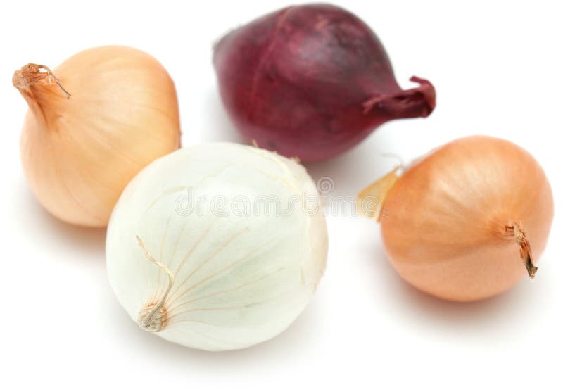 Mini cebollas aisladas en blanco imágenes de archivo libres de regalías Mini cebollas aisladas en blanco imágenes de archivo libres de regalías
