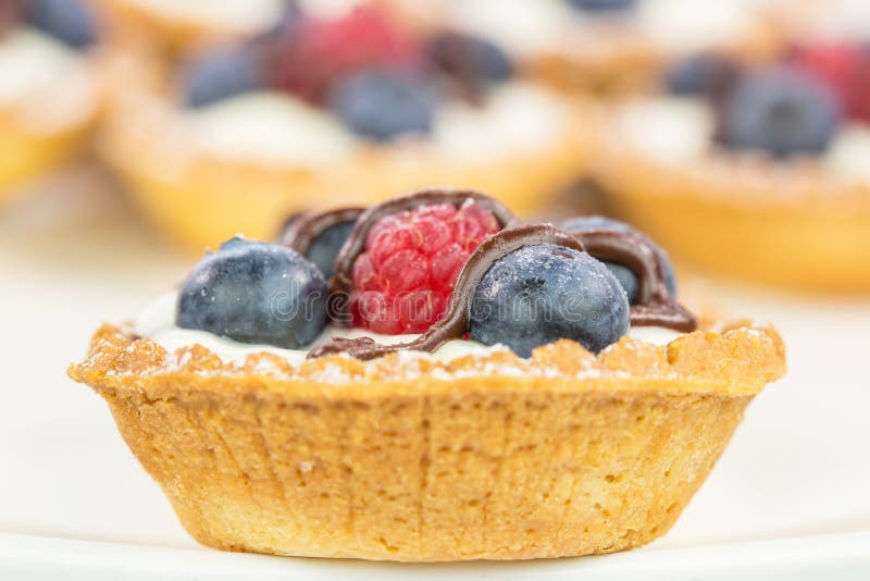 Mini Fruit Tart V stock photo. Image of tasty, mini, sweet 30757132