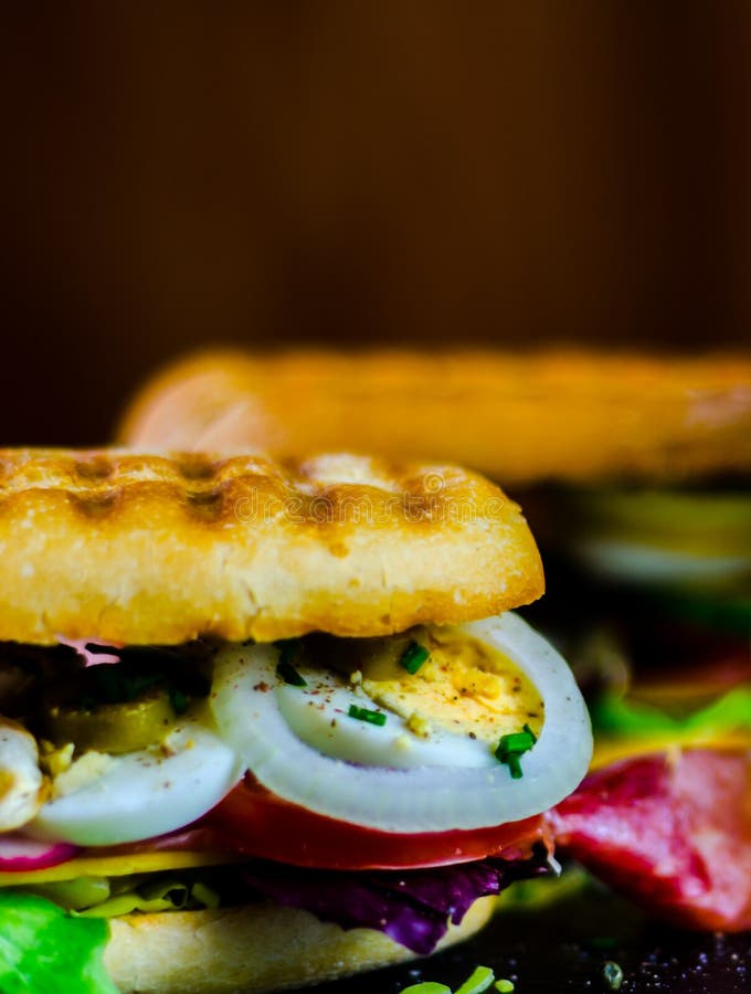 Mini Grilled Sandwich with Various Cold Meats, Cheese, Mushrooms Stock