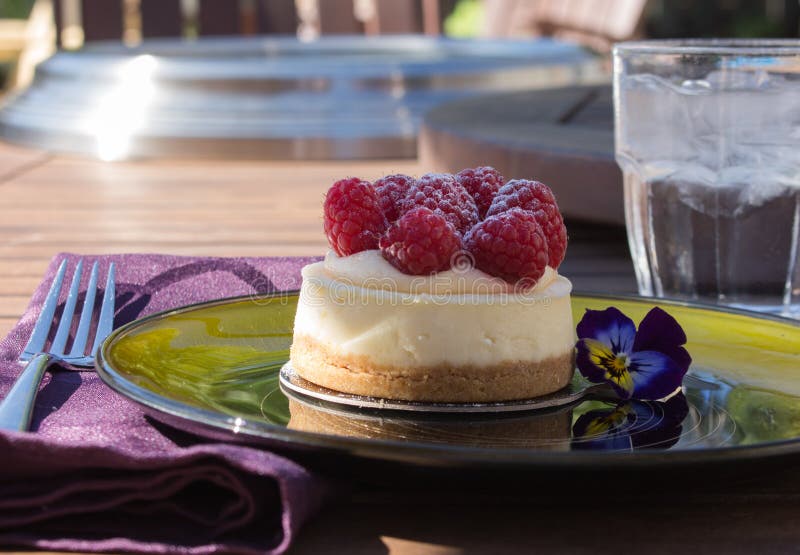 Mini gâteau au fromage de framboise images libres de droits Mini gâteau au fromage de framboise images libres de droits