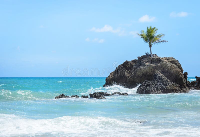 Mini ilha com uma única árvore de coco cercada pela água do mar e algumas formações de rocha em um cenário paradisíaco, muito bon fotografia de stock royalty free Mini ilha com uma única árvore de coco cercada pela água do mar e algumas formações de rocha em um cenário paradisíaco, muito bon fotografia de stock royalty free