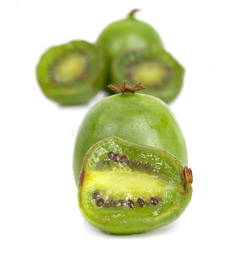 Mini kiwi - piccolo frutto isolato su fondo bianco. Mini kiwi - frutto di un bambino isolato su fondo bianco