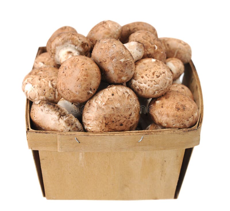 Mini portabella mushroom stock photo. Image of farm, cook 40269446