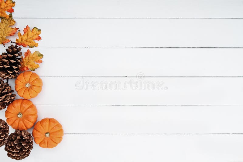 Mini Pumpkins e pigne sopra fondo di legno fotografia stock Mini Pumpkins e pigne sopra fondo di legno fotografia stock