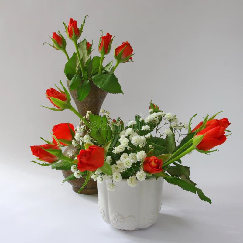 Mini Rosas Vermelhas No Potenciômetro Imagem de Stock - Imagem de cores,  florescer: 68576793