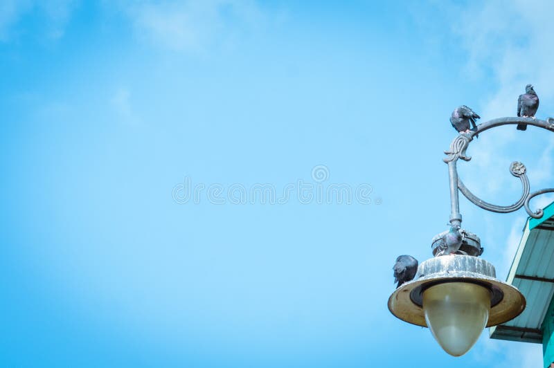 Mini sensor solar lamp street light with blue clear sky background, low angle view. Birds sitting on the lamp stock image Mini sensor solar lamp street light with blue clear sky background, low angle view. Birds sitting on the lamp stock image