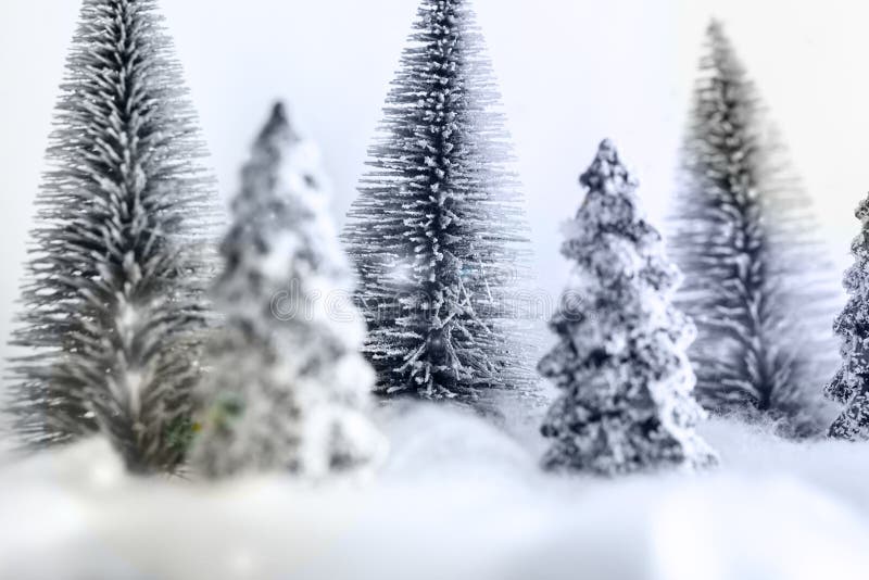 Mini snowy Christmas trees in the forest. Bokeh lights background