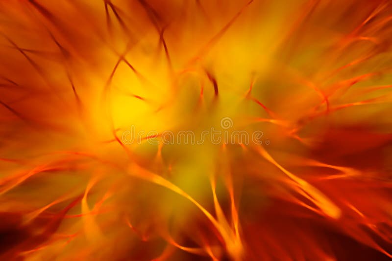 Mini supernova stock photo