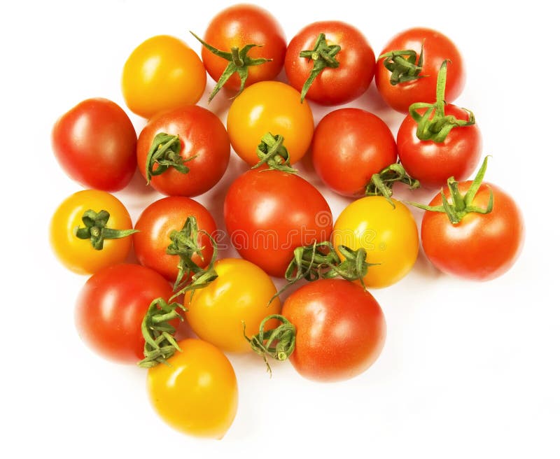 Mini Tomato Stock Image Image 20174831