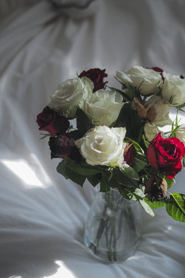 Mini vase with red, white, and purple roses royalty free stock images