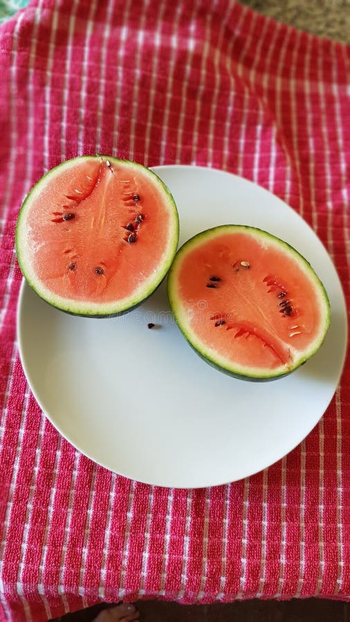 bröst svart melon