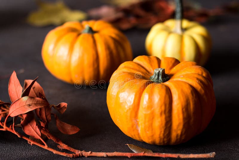 Mini zucche arancio luminose per Halloween su fondo nero fotografia stock libera da diritti Mini zucche arancio luminose per Halloween su fondo nero fotografia stock libera da diritti