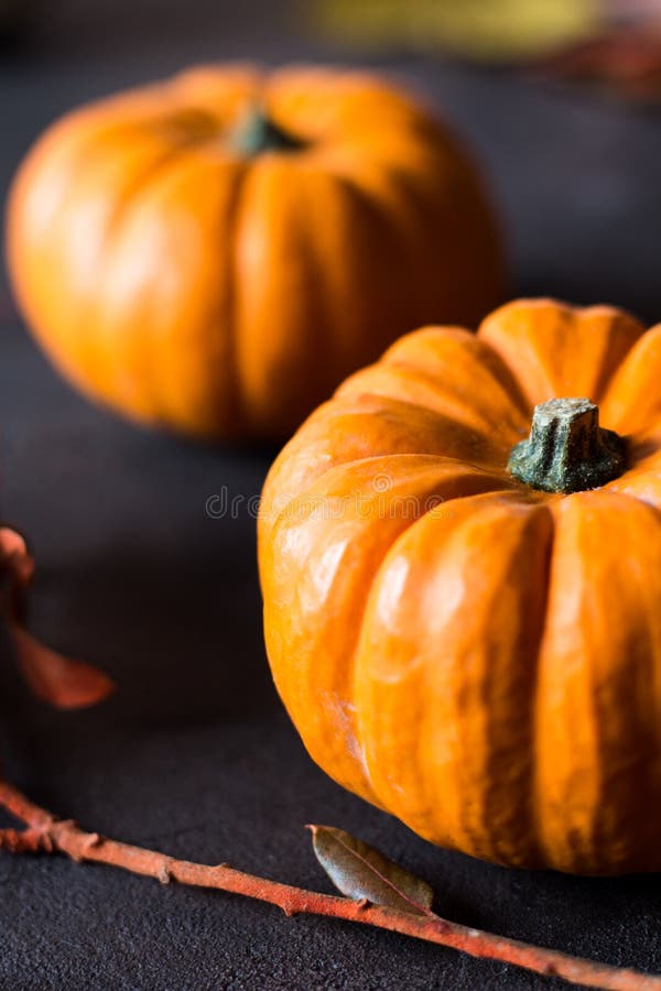 Mini zucche arancio luminose per Halloween su fondo nero immagine stock Mini zucche arancio luminose per Halloween su fondo nero immagine stock