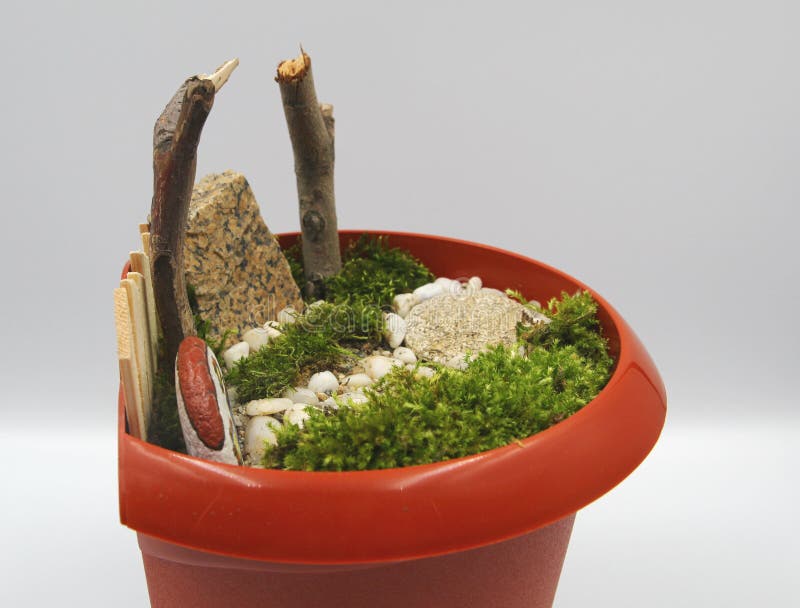 Miniatura in vaso con giardino zen con legno di pietre e muschio piccolo giardino di fiata in vaso immagine stock libera da diritti