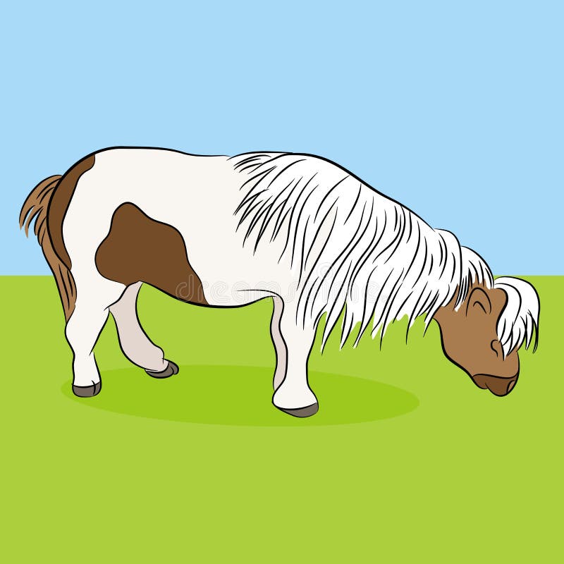 Miniature Horse Stock Illustrations – 470 Miniature Horse Stock ...