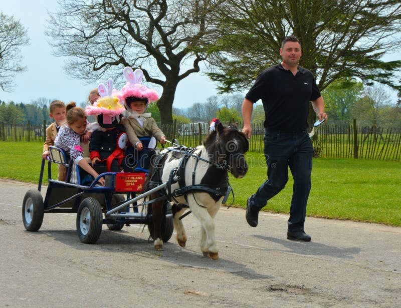 Miniature horse pulling cart full of children royalty free stock photography Miniature horse pulling cart full of children royalty free stock photography