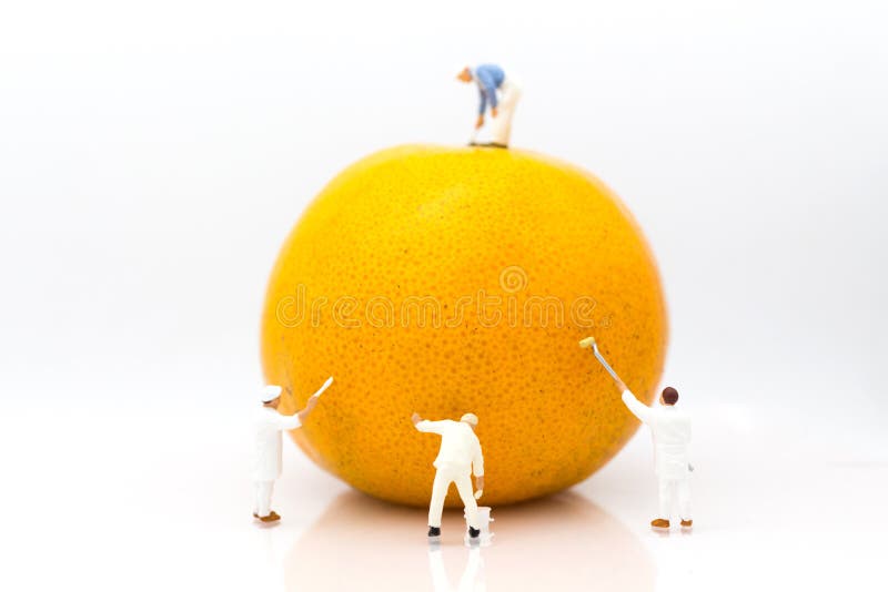 Miniature people: Workers are painting color on orange peels. Image use for creativity, business concept royalty free stock photography Miniature people: Workers are painting color on orange peels. Image use for creativity, business concept royalty free stock photography