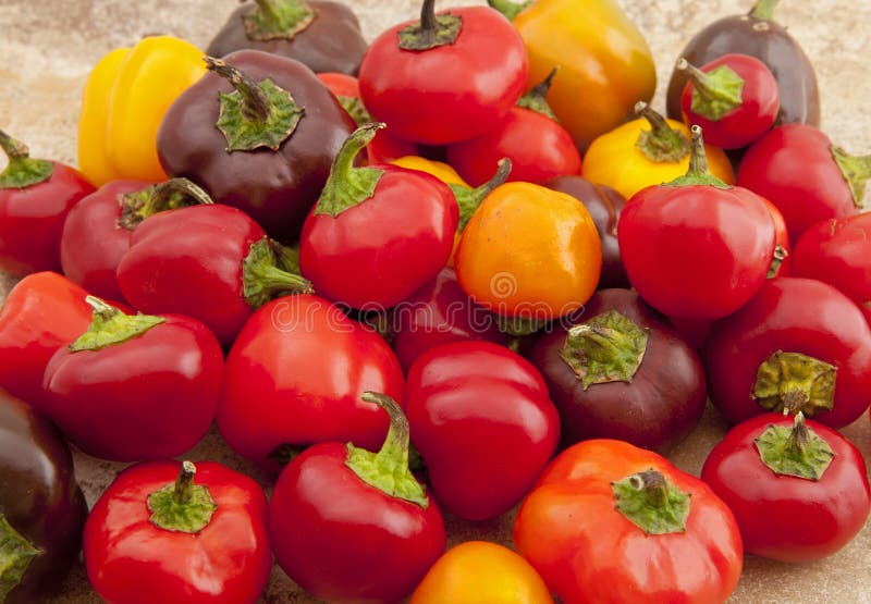 Miniature Sweet Peppers stock photo. Image of grocery 21646076