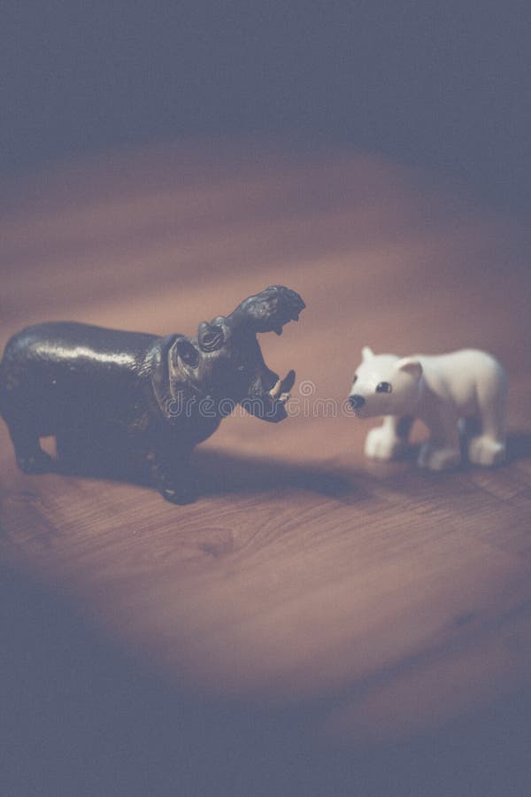 Miniatuurhippo en ijsbeer royalty-vrije stock afbeelding Miniatuurhippo en ijsbeer royalty-vrije stock afbeelding