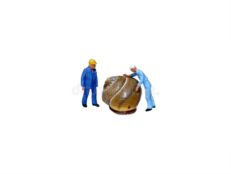 Miniatuurwerklieden die die slakshell inspecteren op wit wordt geïsoleerd royalty-vrije stock afbeelding Miniatuurwerklieden die die slakshell inspecteren op wit wordt geïsoleerd royalty-vrije stock afbeelding