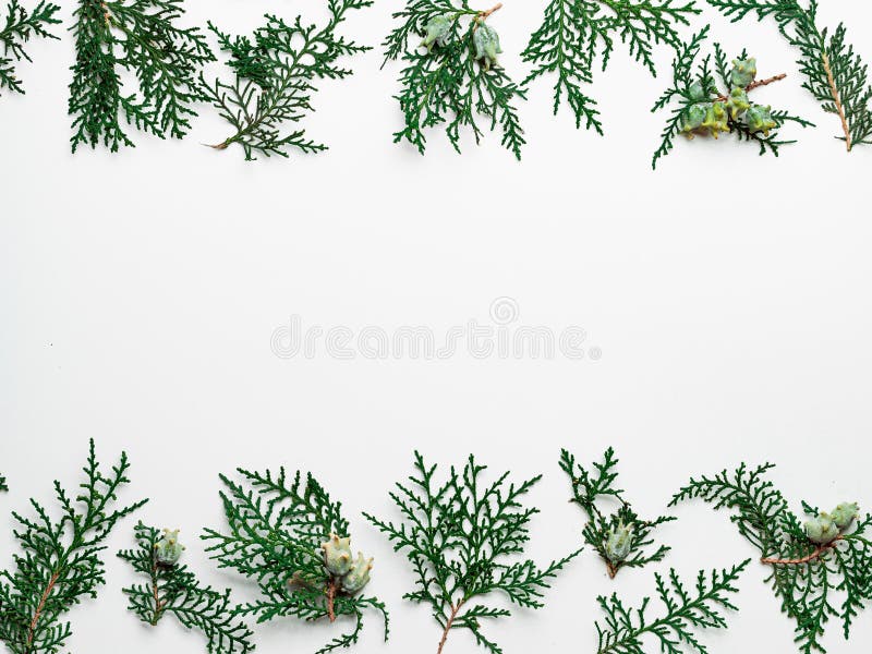 Minimal Christmas pattern with copy space stock images