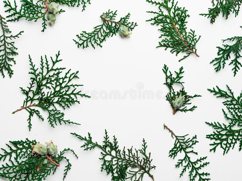 Minimal Christmas pattern with copy space royalty free stock photos